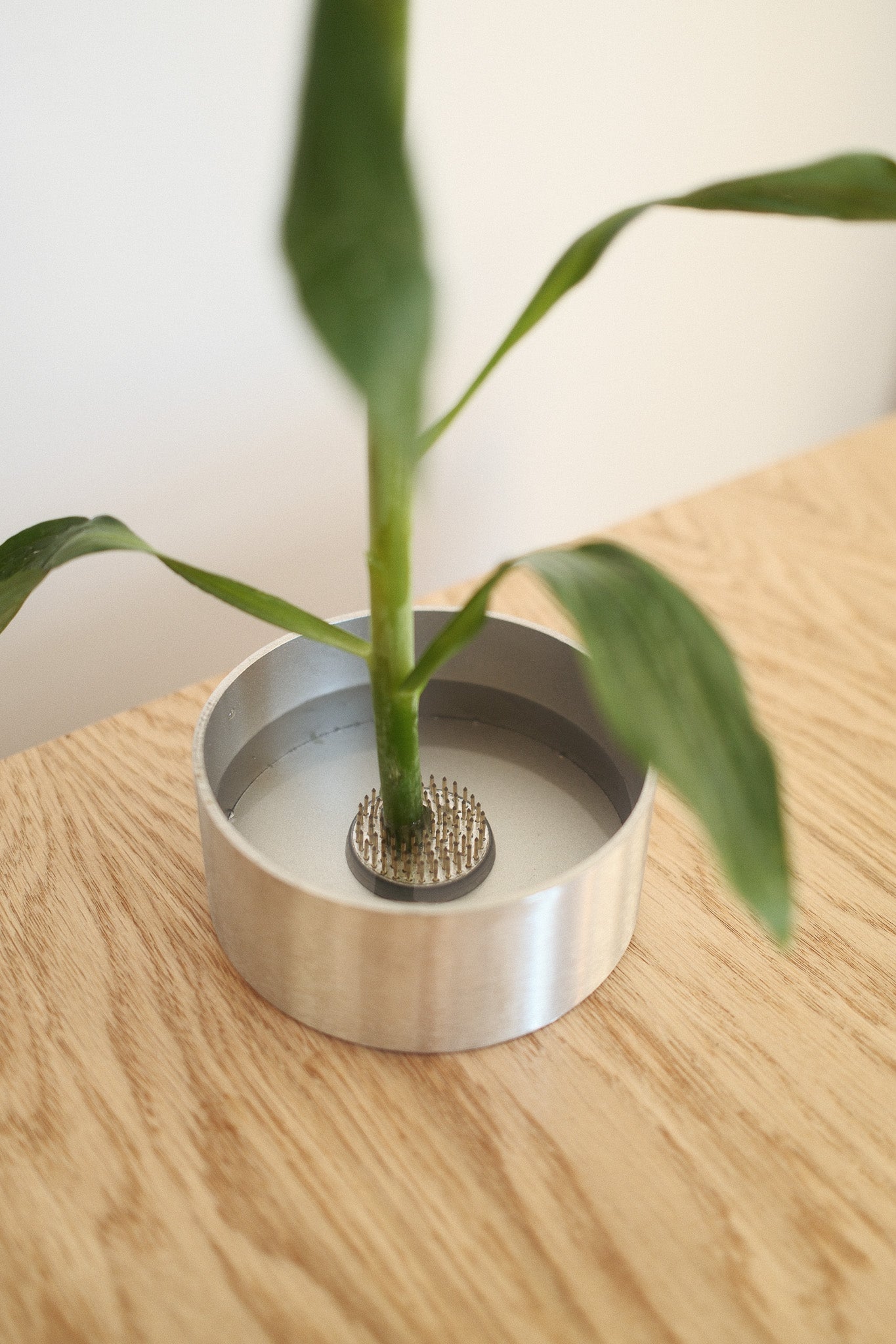 SKÅL IKEBANA SET