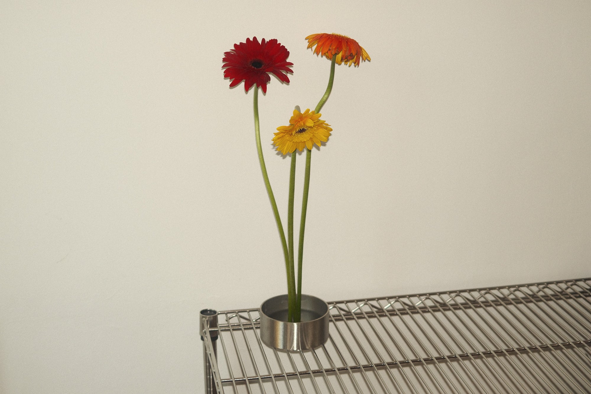 SKÅL IKEBANA SET